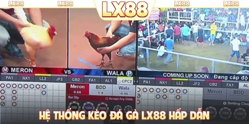 Hệ thống kèo đá gà LX88 hấp dẫn