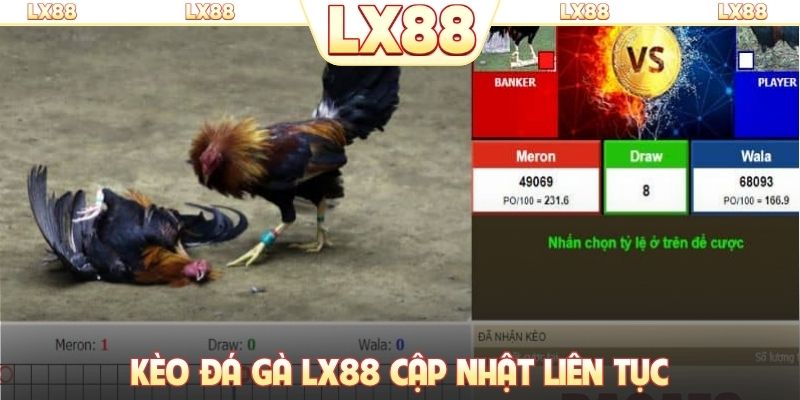 Kèo đá gà LX88 cập nhật liên tục